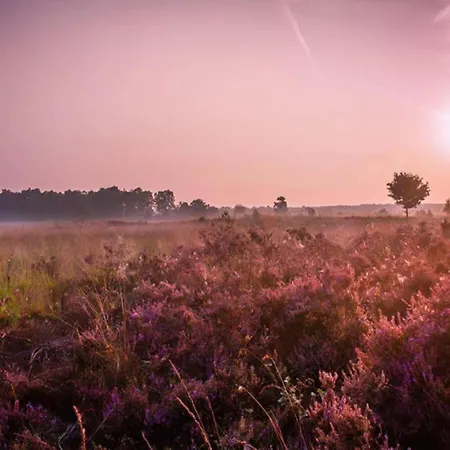 In Veluwe With Pool And Sauna, Cleaning Included Voorthuizen