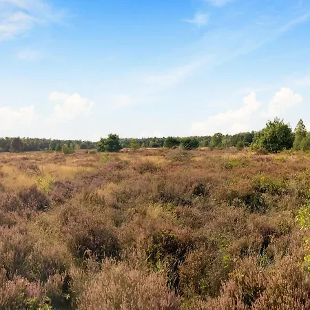 In Veluwe With Pool And Sauna, Cleaning Included Holiday home *