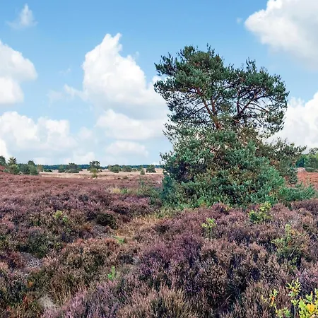 In Veluwe With Pool And Sauna, Cleaning Included * Voorthuizen