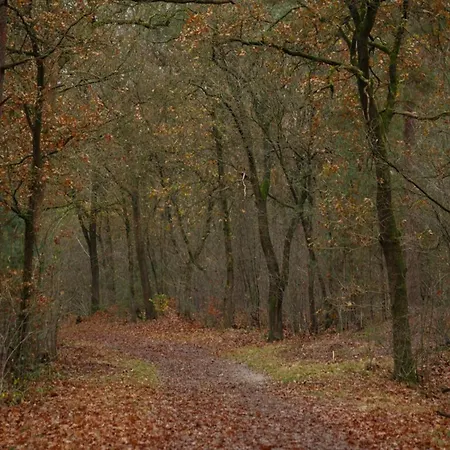 Holiday home In Veluwe With Pool And Sauna, Cleaning Included *