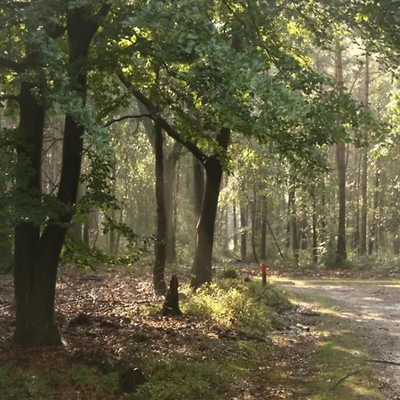 In Veluwe With Pool And Sauna, Cleaning Included Holiday home *